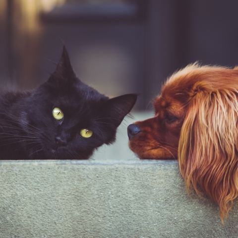 You can’t sit with us…